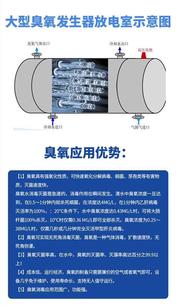 详情-05