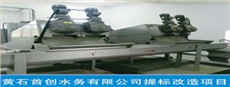 黄石首创水务有限公司提标改造项目